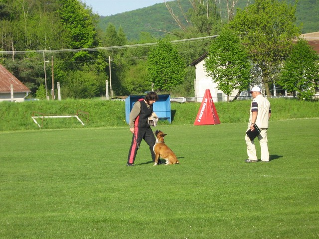 www.atibox.net * www.euroboxer.eu * www.boxergenealogia.eu
